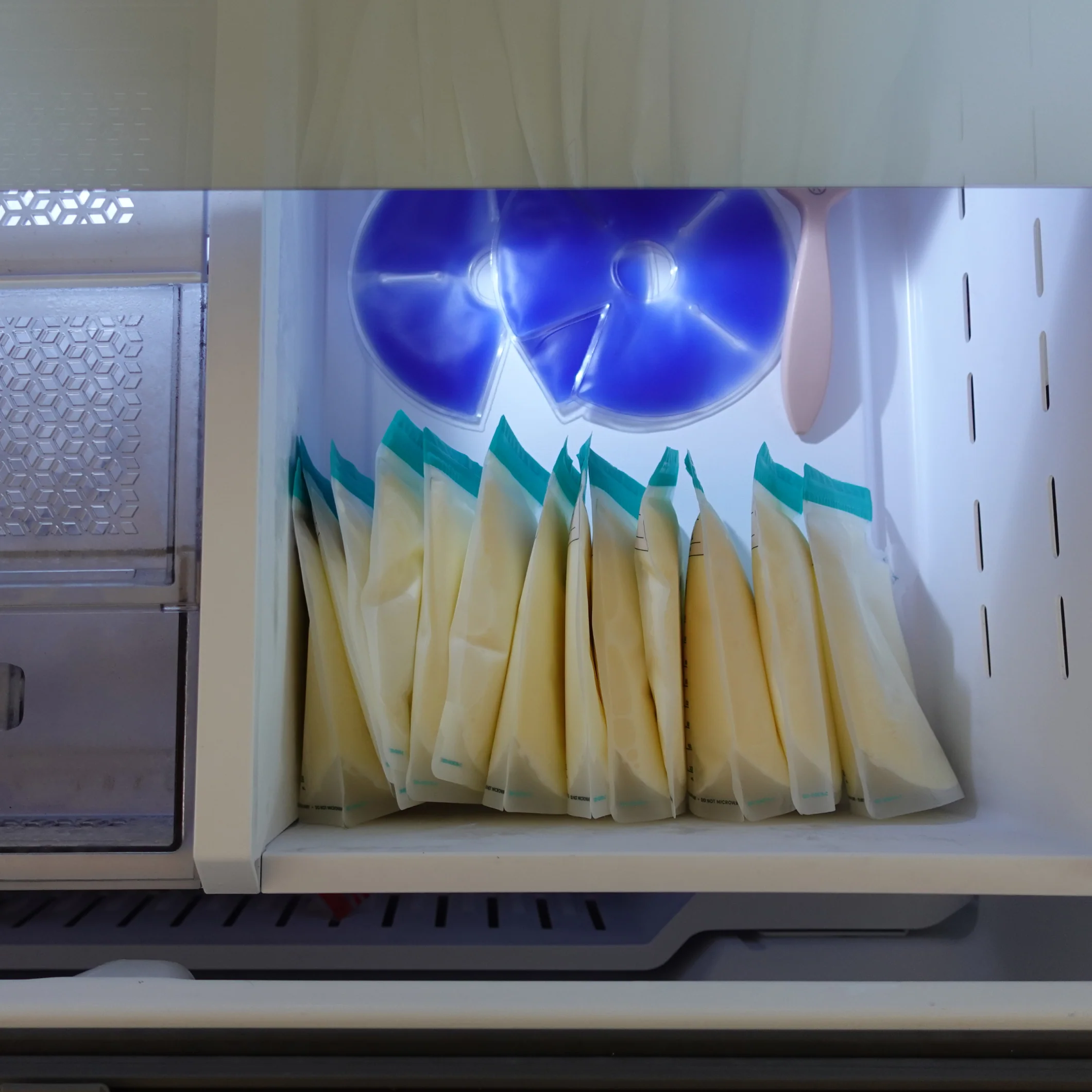 Breast Milk Storage Bags (8 oz, 100-pack) - Image 6